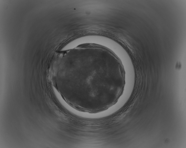 X0000091960597200710041030