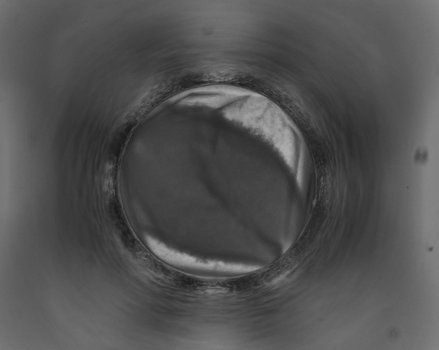 X0000091960598200710041030