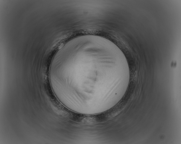 X0000091960599200710041030
