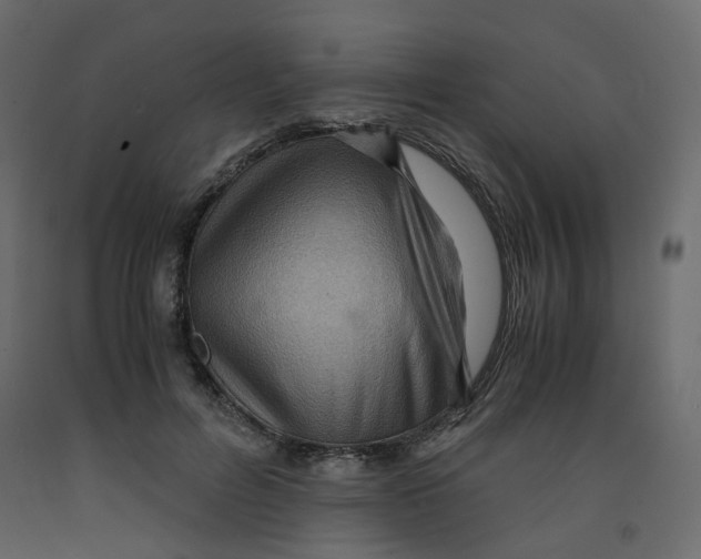 X0000091960600200710041030