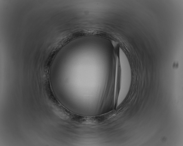 X0000091960601200710041030