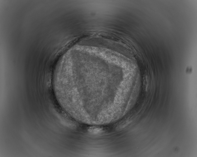 X0000091960602200710041030