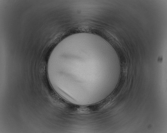 X0000091960603200710041030
