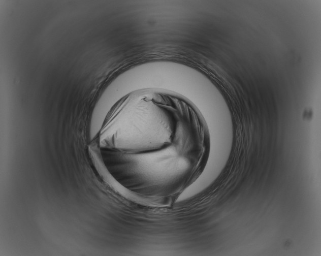 X0000091960604200710041030