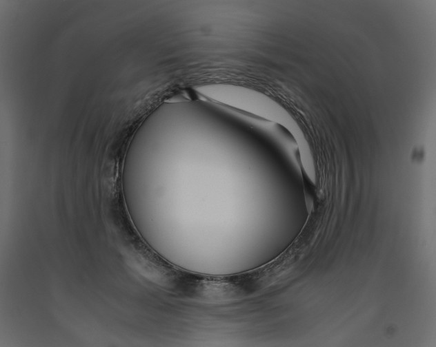 X0000091960605200710041030