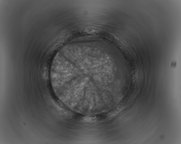 X0000091960606200710041030