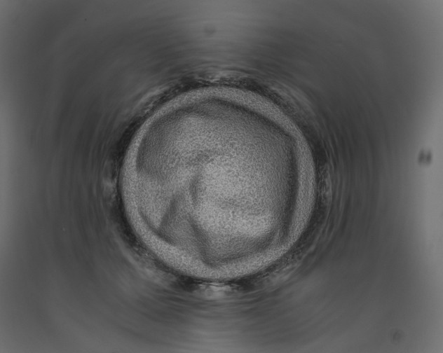 X0000091960607200710041030