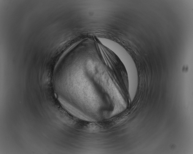 X0000091960608200710041030