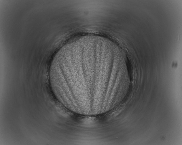 X0000091960609200710041030