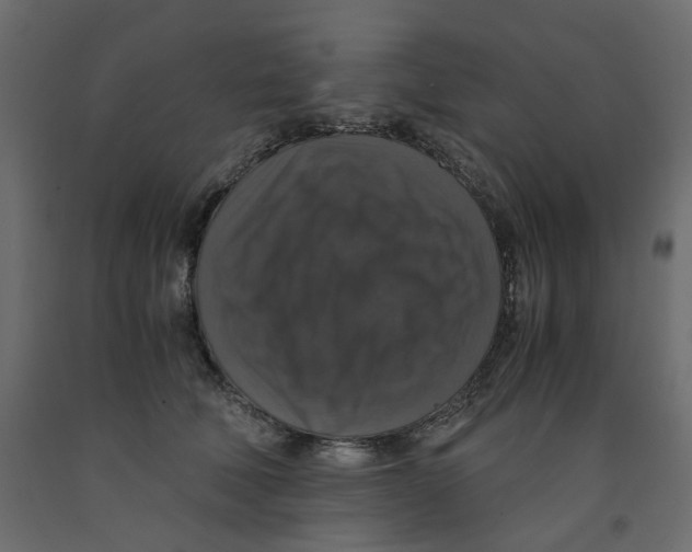X0000091960610200710041030