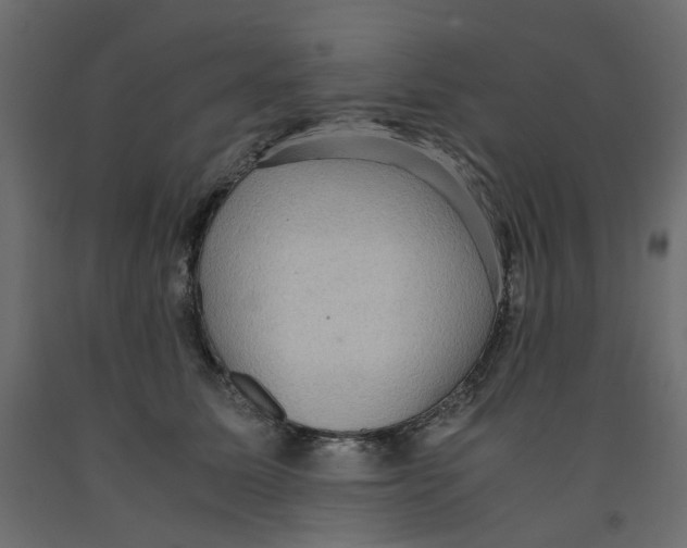 X0000091960611200710041030