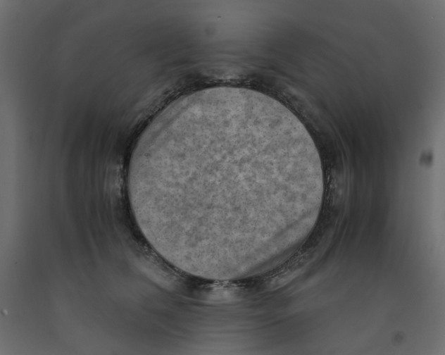 X0000091960612200710041030