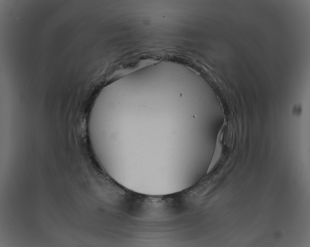 X0000091960613200710041030
