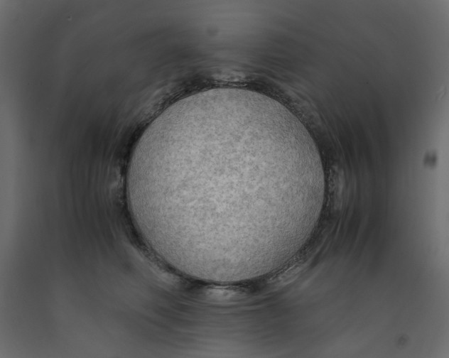 X0000091960614200710041030