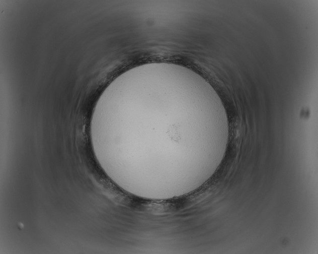 X0000091960615200710041030
