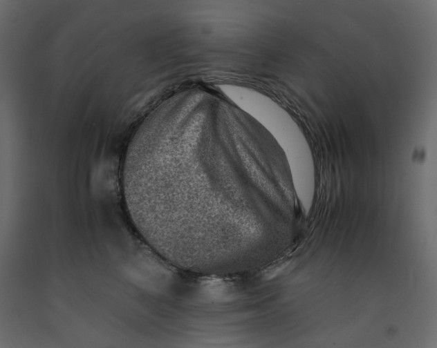 X0000091960616200710041030