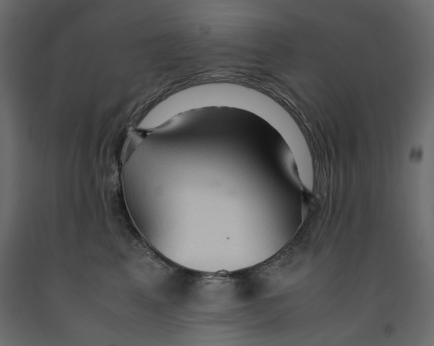 X0000091960617200710041030