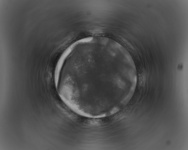 X0000091960618200710041030