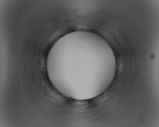 X0000091960619200710041030