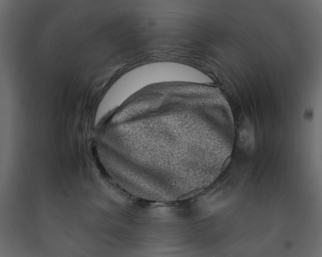 X0000091960620200710041029