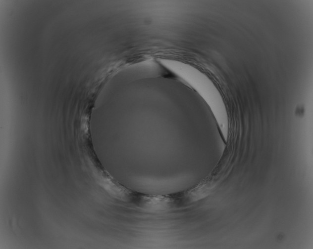X0000091960621200710041029