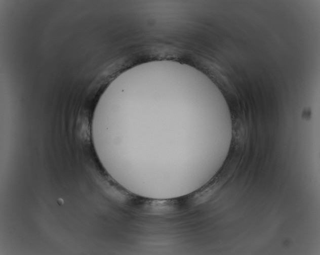 X0000091960622200710041029