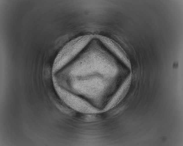 X0000091960623200710041029