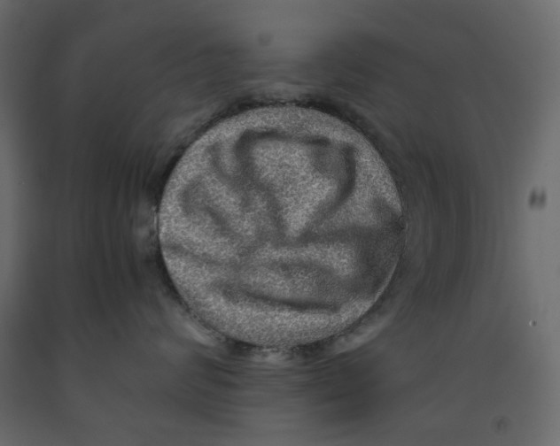 X0000091960624200710041029