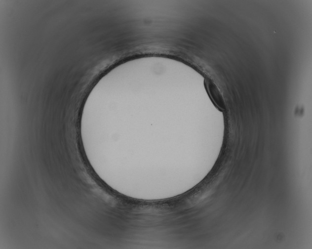 X0000091960625200710041029