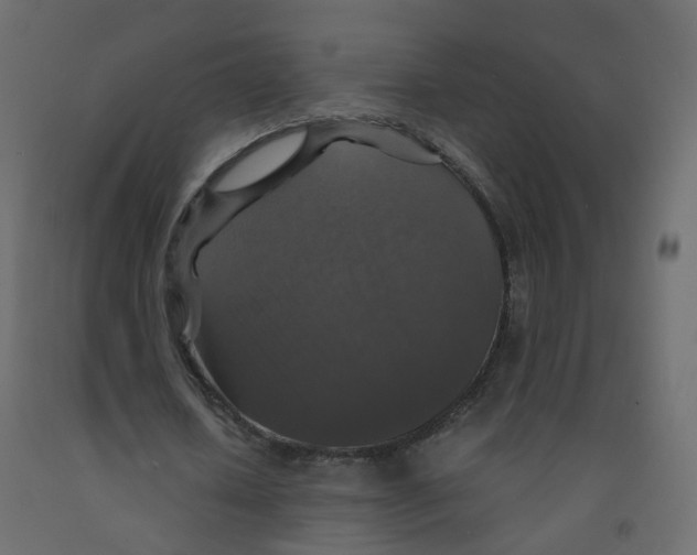 X0000091960626200710041029