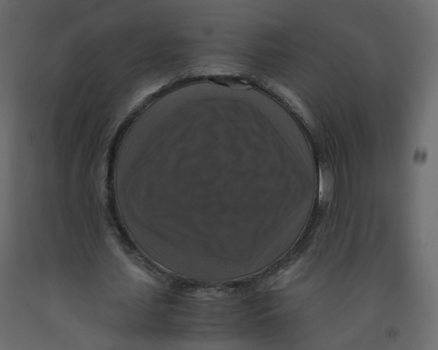 X0000091960627200710041029