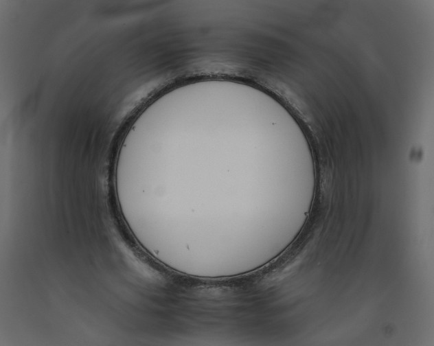 X0000091960629200710041029
