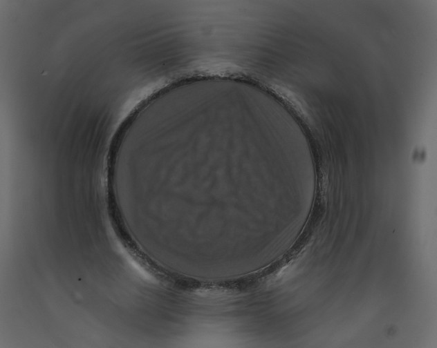 X0000091960630200710041029