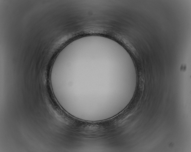 X0000091960631200710041029