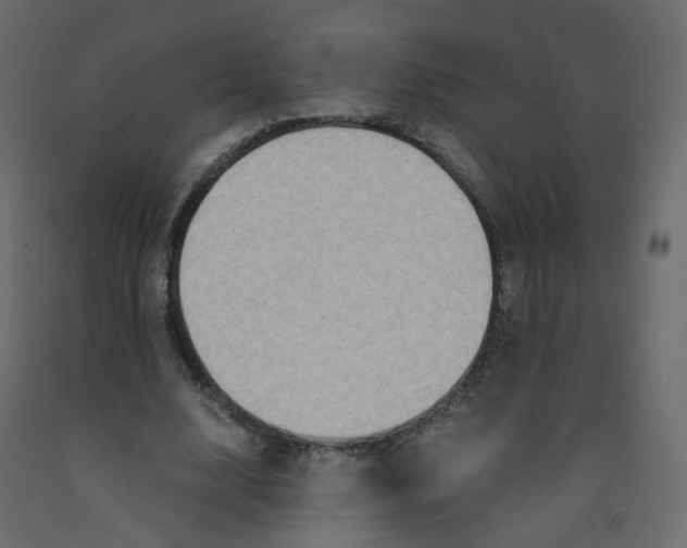 X0000091960632200710041029
