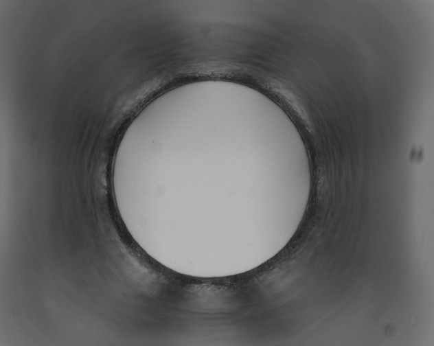 X0000091960633200710041029