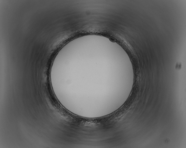 X0000091960635200710041029
