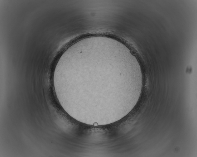 X0000091960636200710041029