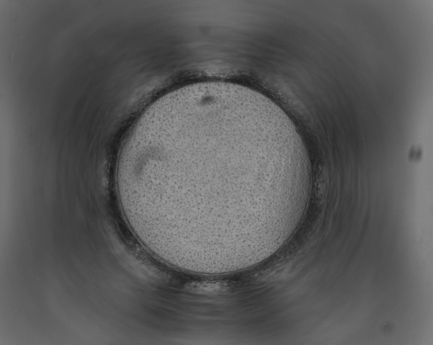 X0000091960639200710041029