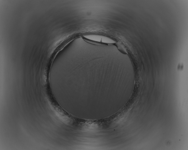 X0000091960640200710041029