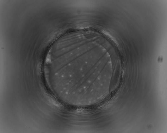 X0000091960641200710041029