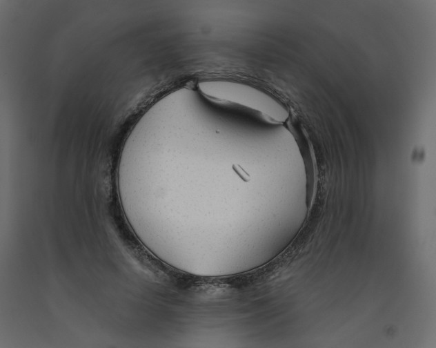 X0000091960642200710041029