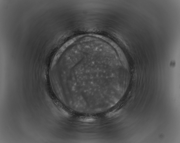 X0000091960643200710041029