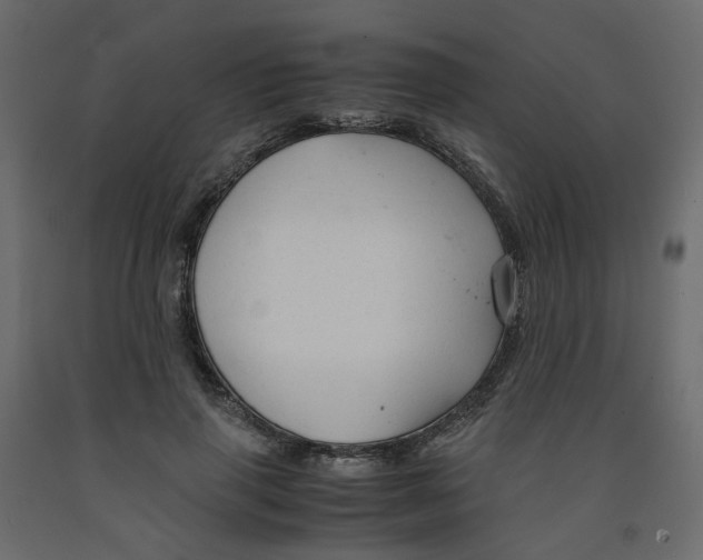 X0000091960645200710041029