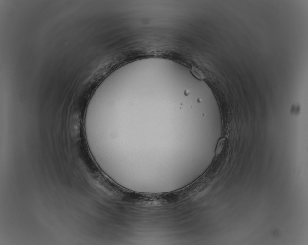X0000091960646200710041029