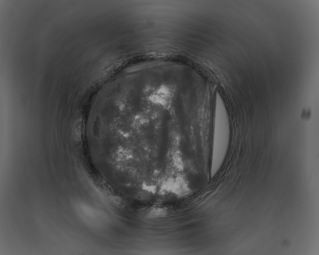 X0000091960647200710041029