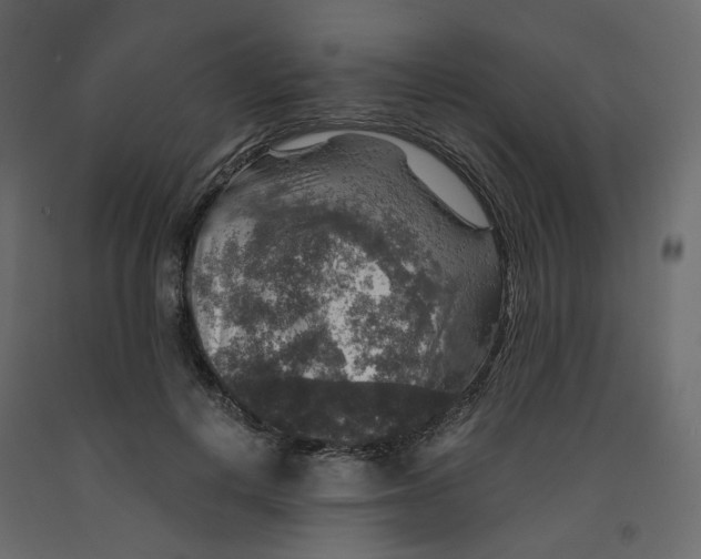 X0000091960648200710041029