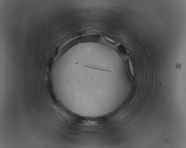 X0000091960649200710041029
