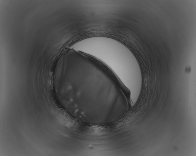 X0000091960650200710041029