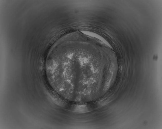 X0000091960651200710041029